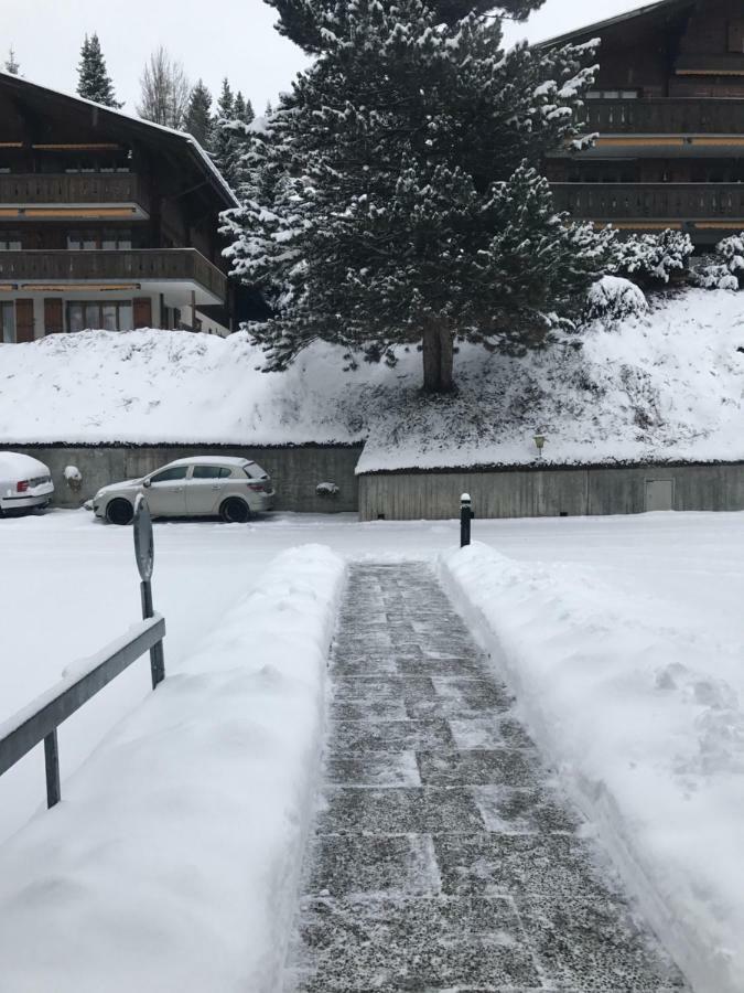 Charly Studio In Gstaad Bagian luar foto
