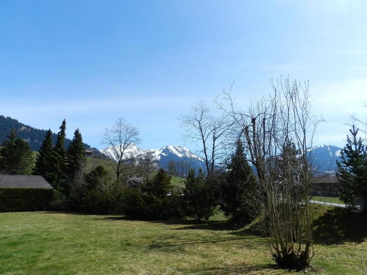 Charly Studio In Gstaad Bagian luar foto